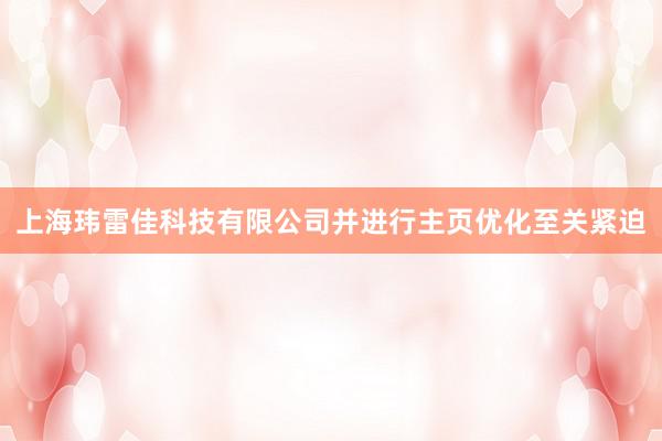 上海玮雷佳科技有限公司并进行主页优化至关紧迫