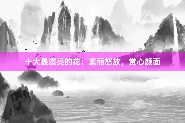 十大最漂亮的花：素丽怒放，赏心颜面