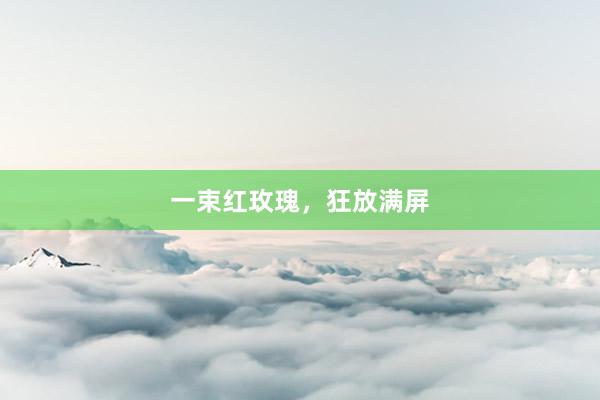 一束红玫瑰，狂放满屏