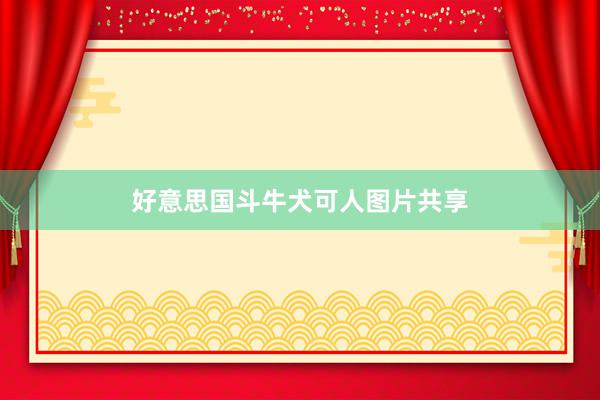 好意思国斗牛犬可人图片共享