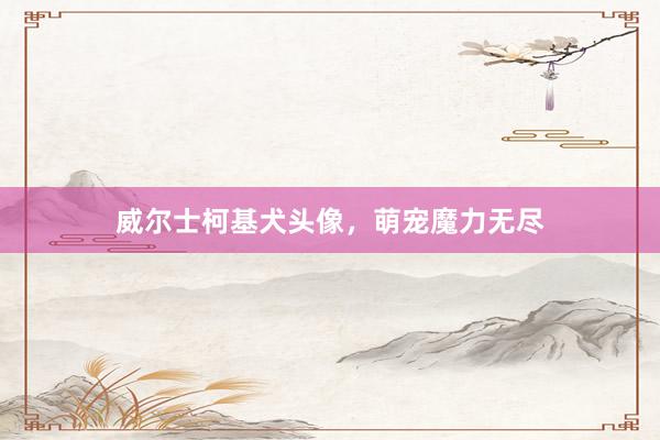 威尔士柯基犬头像，萌宠魔力无尽