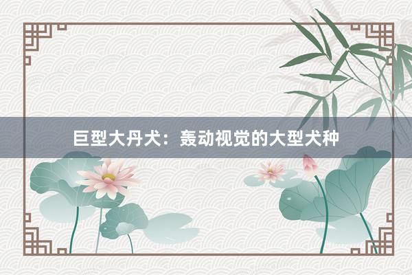 巨型大丹犬:轰动视觉的大型犬种
